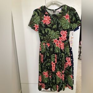 4 brand new beautiful Amelia dresses from Lularoe. Tags still on and never worn.
